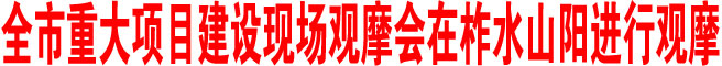 商洛市重大項(xiàng)目建設(shè)現(xiàn)場(chǎng)觀摩會(huì)在柞水山陽(yáng)進(jìn)行觀摩