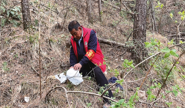 商山守綠人