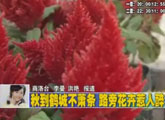 商洛全接觸（2011-10-17）