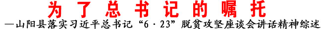 —山陽縣落實(shí)習(xí)近平總書記“6·23”脫貧攻堅(jiān)座談會講話精神綜述