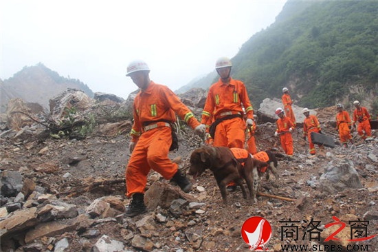 消防戰(zhàn)士帶著搜救犬尋找生命跡象