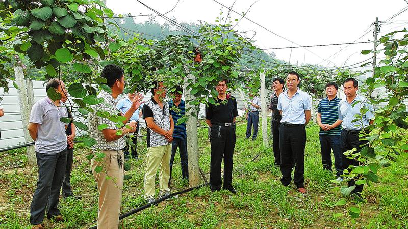 中原入陜第一鎮(zhèn) 詩情畫意金富水