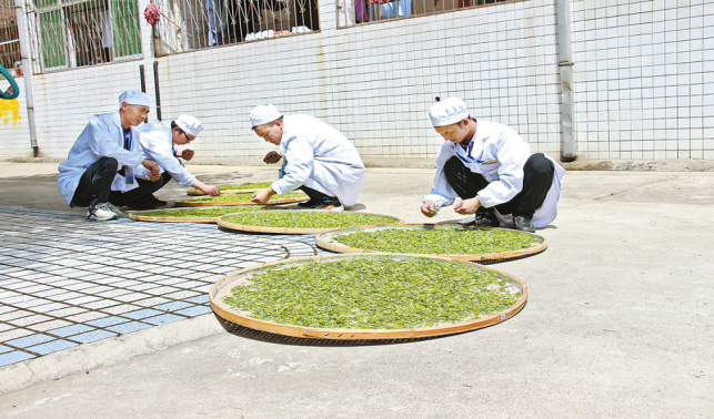 技藝傳千載 茶香飄萬家