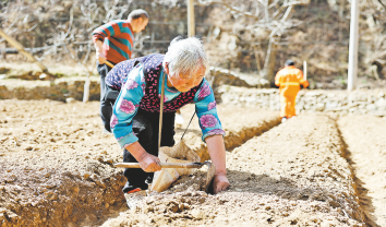 產(chǎn)業(yè)動力強 發(fā)展勁頭足