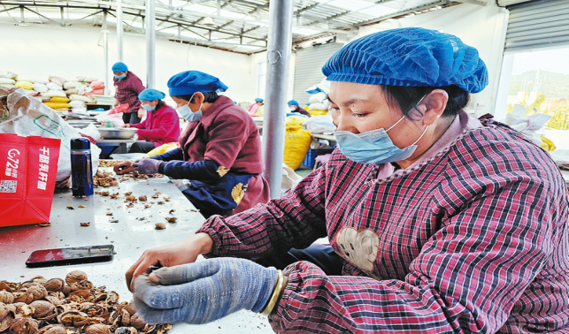 搬出大山日子甜 后續(xù)幫扶措施多