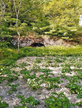 熊耳山國營煤礦建礦記