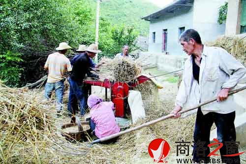 陳有娃家的打麥場(chǎng)景