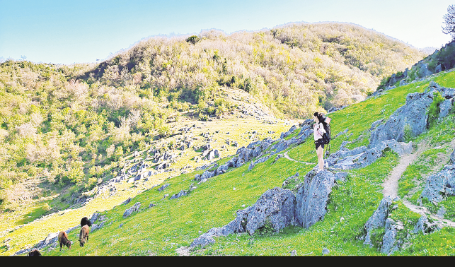 西口回族鎮(zhèn) 綠色原生態(tài) 大美北陽山