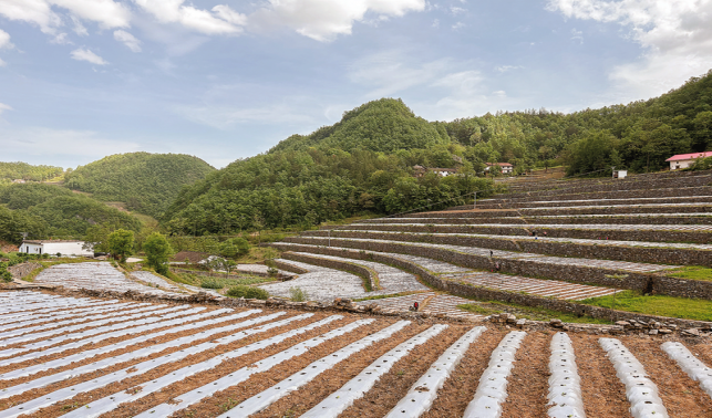 用好“千萬工程”經(jīng)驗 繪就和美鄉(xiāng)村新畫卷