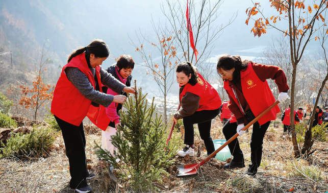 植樹(shù)添綠忙 不負(fù)好春光